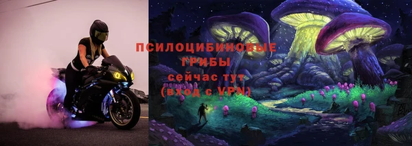 соль ск Майский
