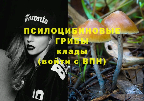 COCAINE Магас