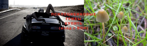марихуана Магадан